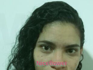 Nice_flower
