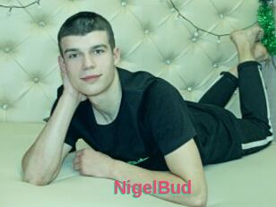 NigelBud