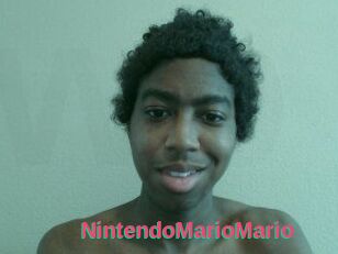 NintendoMarioMario