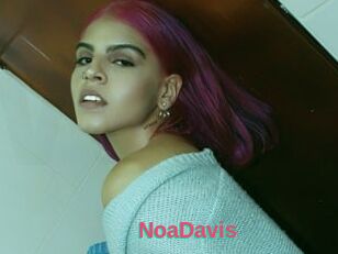 NoaDavis