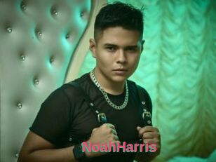 NoahHarris