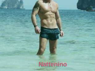 Nattenino