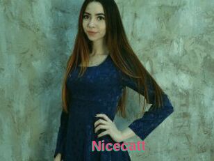 Nicecatt