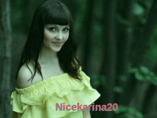 Nicekarina20