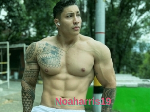 Noaharris19