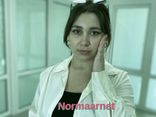Normaarnet