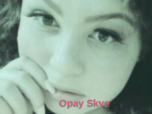 Opay_Skye