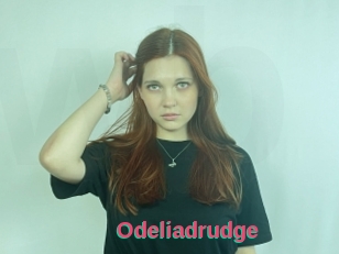Odeliadrudge