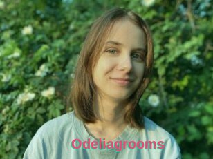 Odeliagrooms