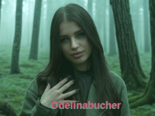 Odelinabucher