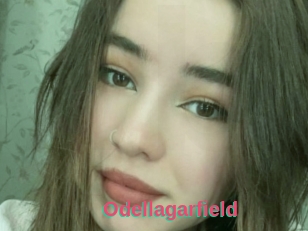 Odellagarfield