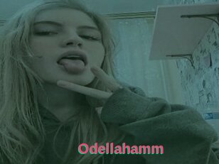 Odellahamm
