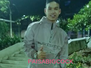 PAISABIGCOCK