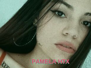 PAMELA_HTX