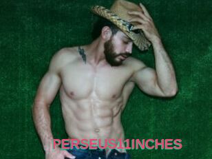 PERSEUS11INCHES
