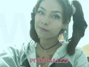 PITUFINA1223