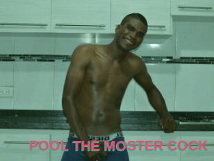 POOL_THE_MOSTER_COCK