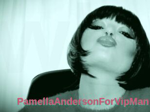 PamellaAndersonForVipMan