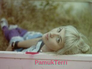 PamukTerri