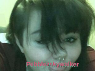 Pebblezskywalker