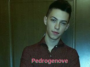 Pedrogenove