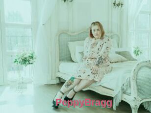 PeppyBragg