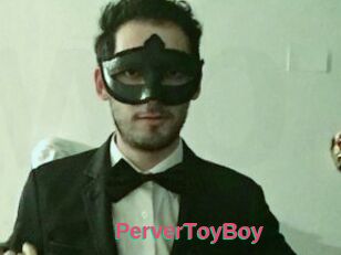 PerverToyBoy