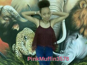 PinkMuffin3578