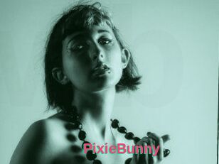 Pixie_Bunny