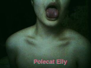 Polecat_Elly