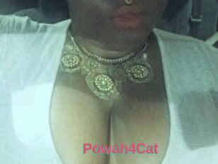 Powah4Cat