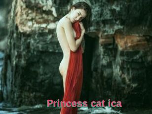 Princess_cat_ica