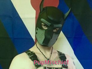 PupMischief
