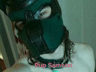 Pup_Samson