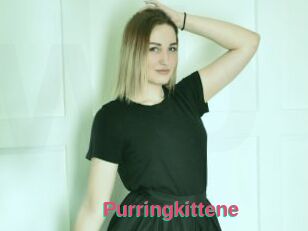 Purringkittene