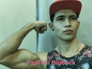 Papillon_BigCock