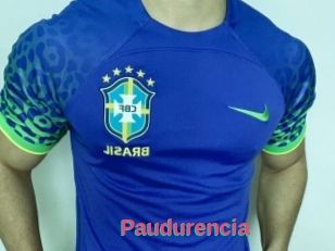 Paudurencia