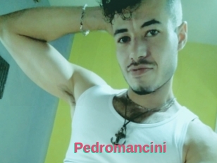 Pedromancini