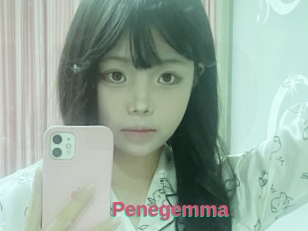 Penegemma