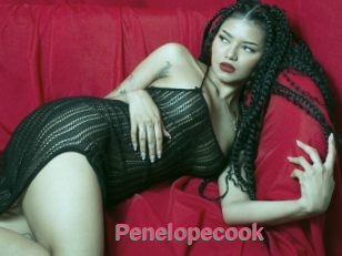 Penelopecook