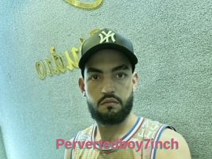 Pervertedboy7inch