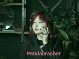 Petulabracher