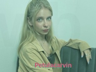 Petulacarvin