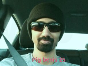 Pig_benis_25