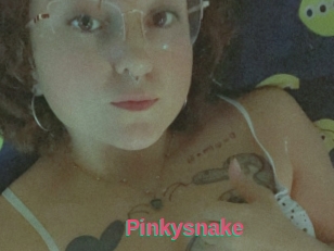Pinkysnake