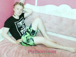 Pitthorrison