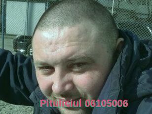 Pituliciul-06105006