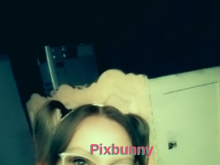 Pixbunny