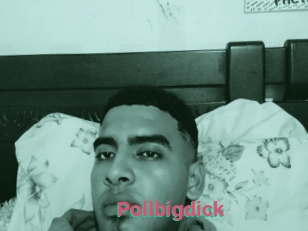 Pollbigdick
