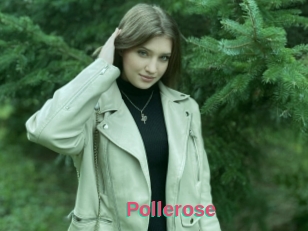 Pollerose